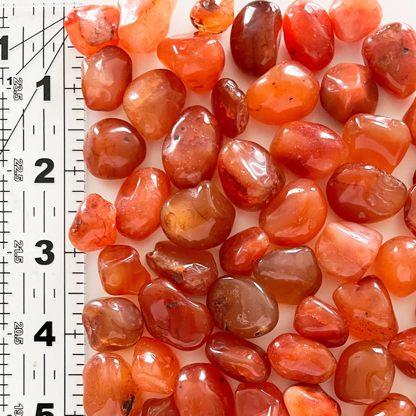 Pocket Carnelian Tumbled Crystal with Information Card