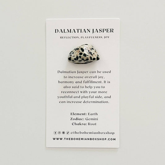 Pocket Dalmatian Jasper Tumbled Crystal w/ Information Card